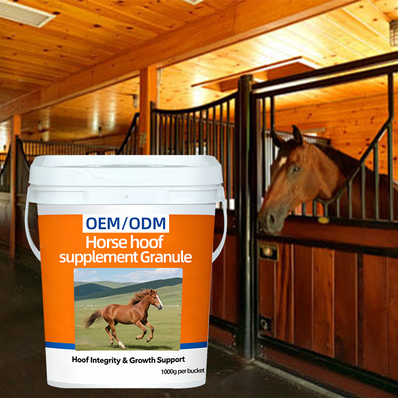 OEM/ODM Premium Biotin Formula for Equine Hoof Health Support