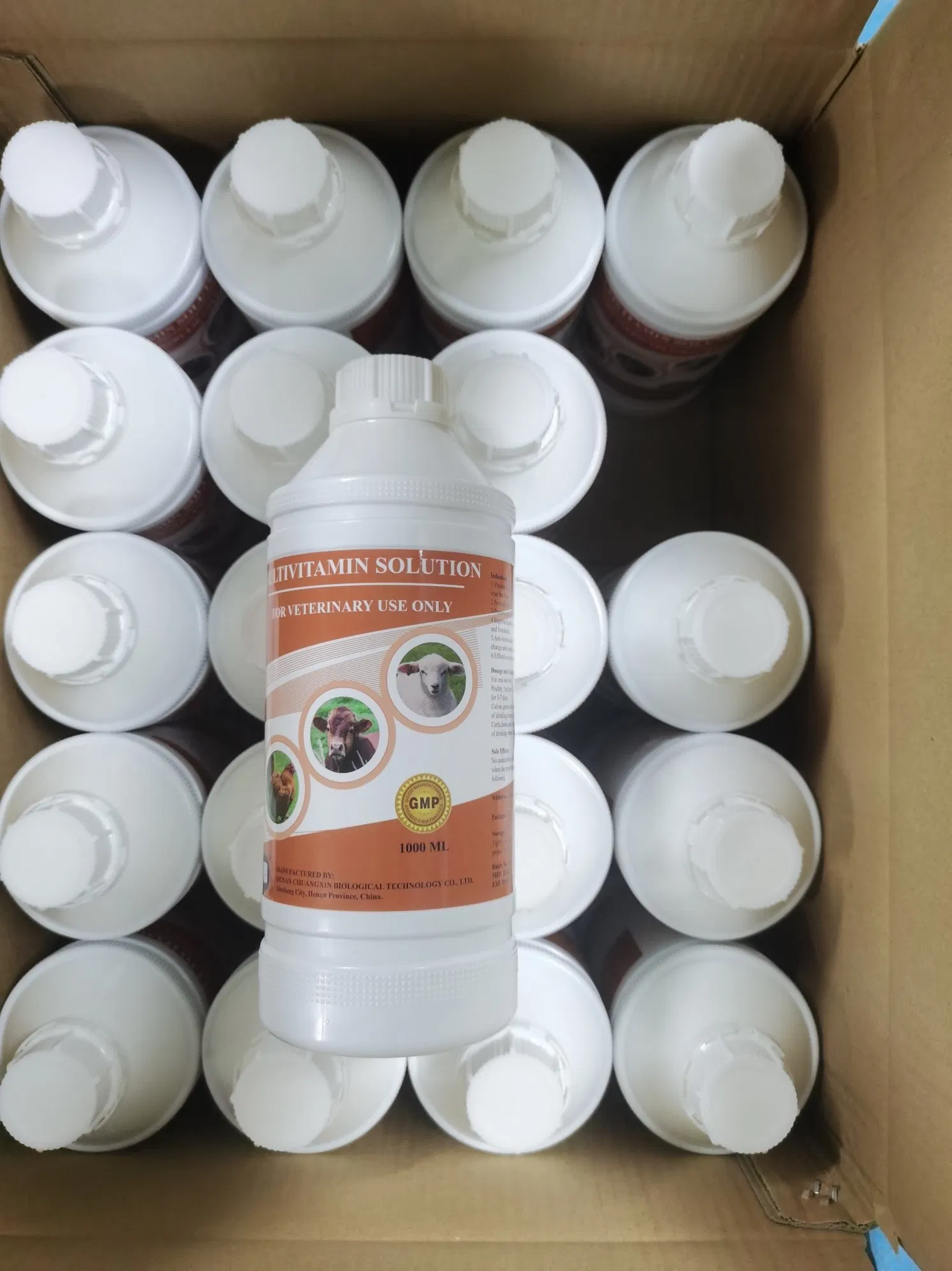 Holistic Pet Wellness Formula for Optimal Health and Vitality