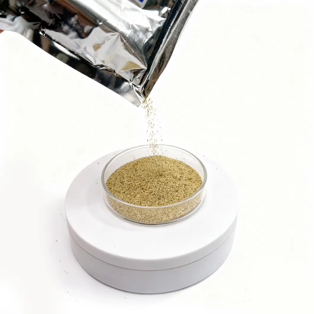 Veterinary Premium 60% Choline Chloride Powder Excellent Absorbency & Stability for Animal Nutrition