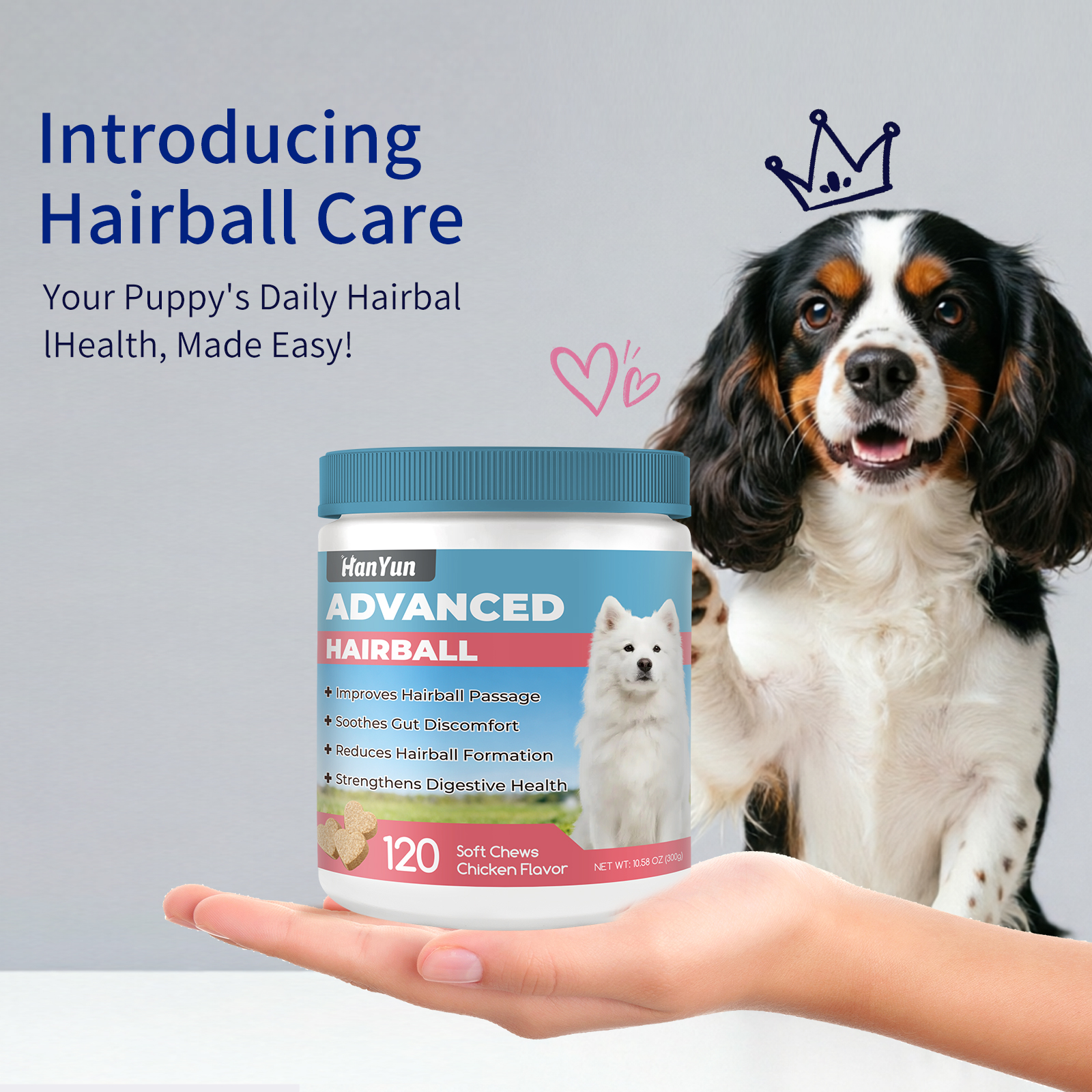 Factory Price Safe Soft Chew Cat Hairball Supplement With Taurine &amp; B Vitamins For Daily Pet Health Care
