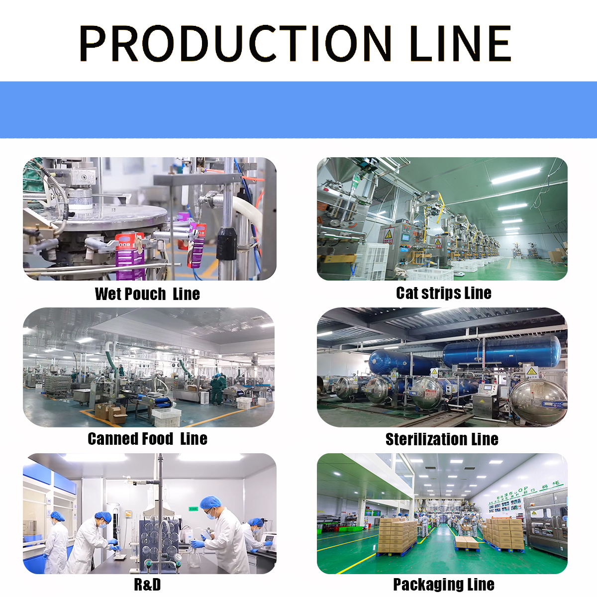 Company Overview 2