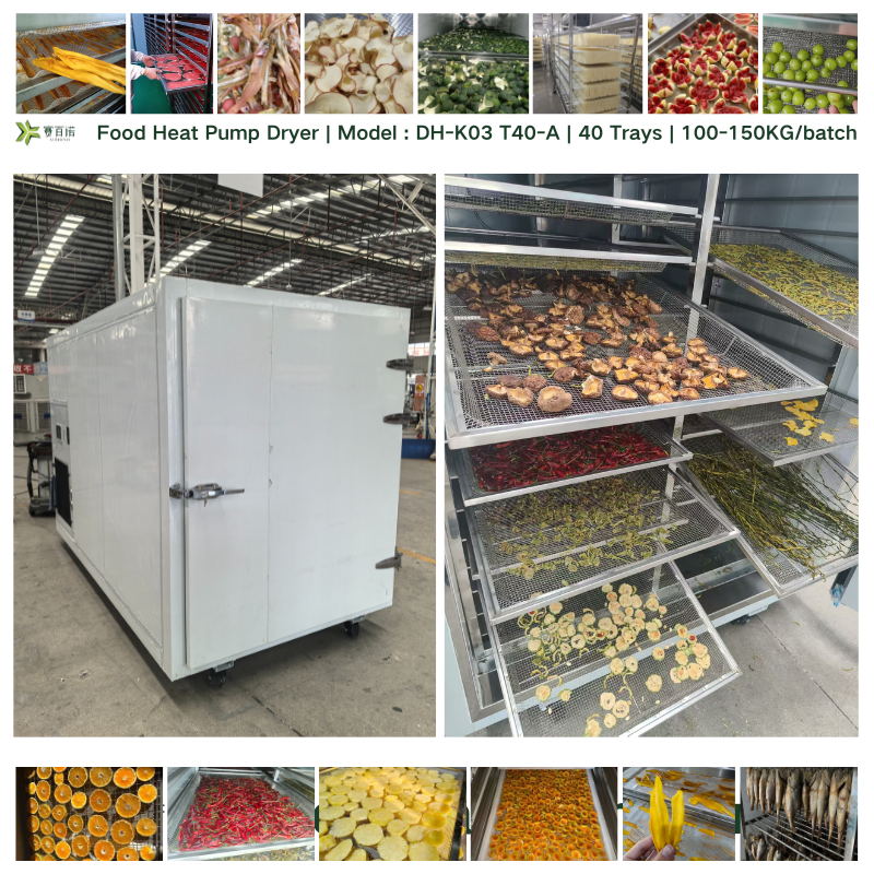 DH-K03 T40-A | 40 Trays | Heat Pump Dehydrator | 100-150KG Food Dryer Machine for Fruits, Pet Food, Fish, Meat | Drying Cabinet