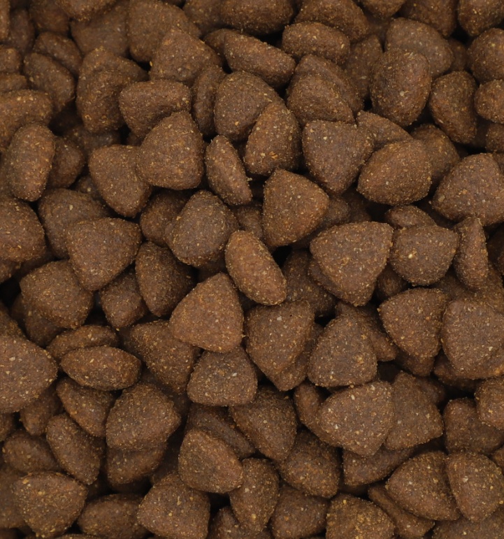 Pet Food Processing 1
