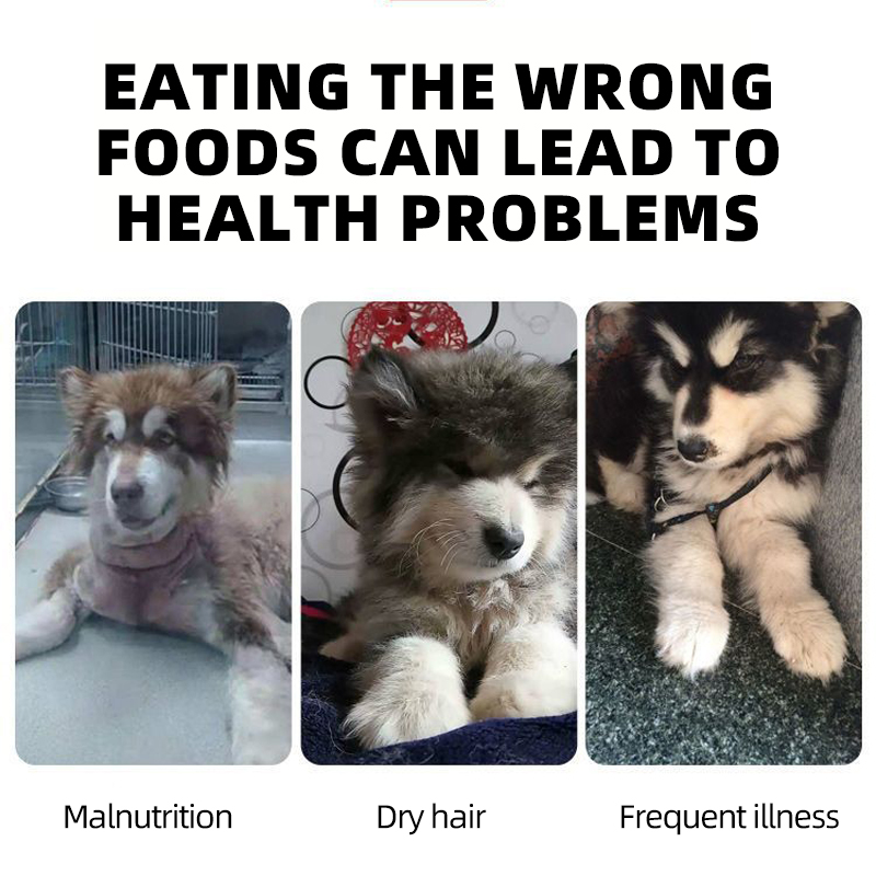 Alaskan Malamute Dog Food Joint Support High Energy Formula for Active Working Dogs Large Kibble Custom Packaging Available