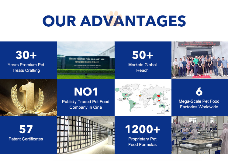 Advanced Pet Food Manufacturing Advantages