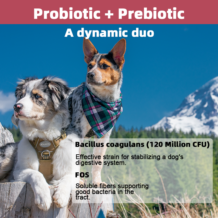Canine Digestive Enzymes Fiber Soft Chews 120 Million CFU Dog Probiotics for Sensitive Stomach Gut Wellness Daily Stool Support