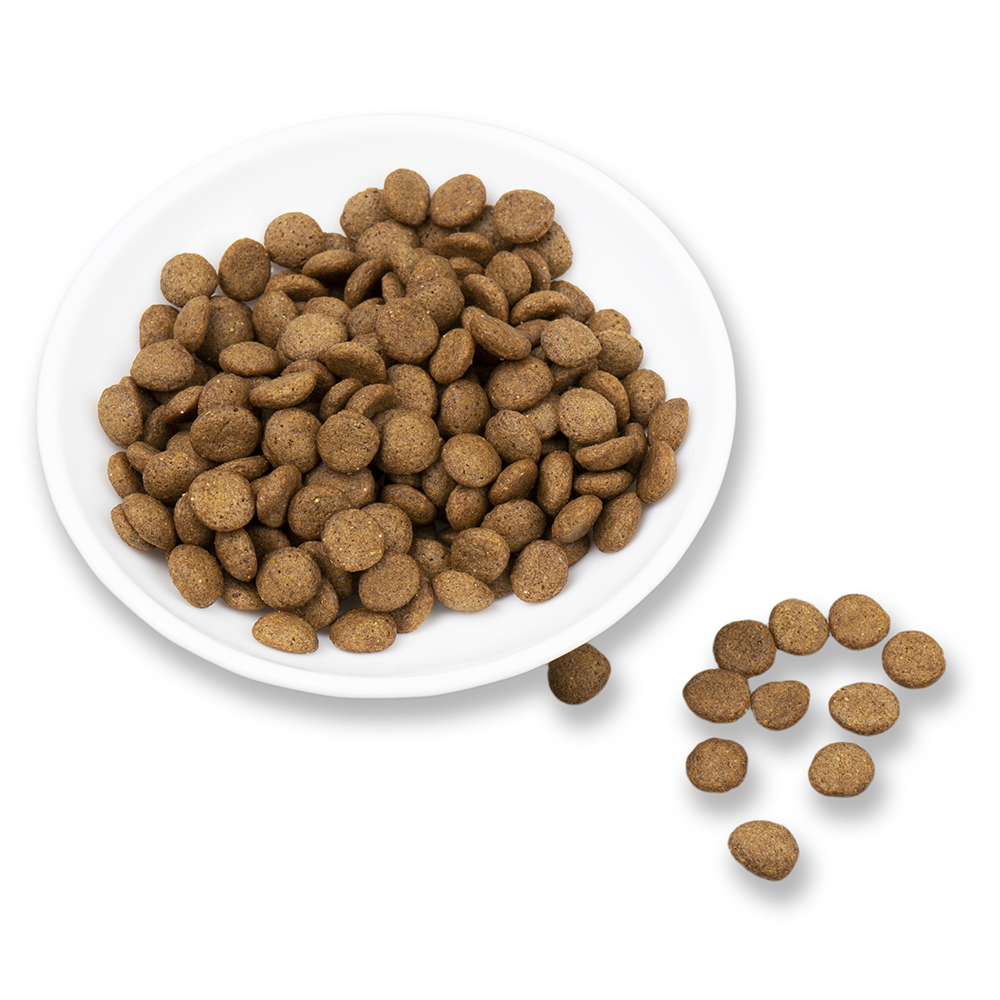 Pet Food Banner