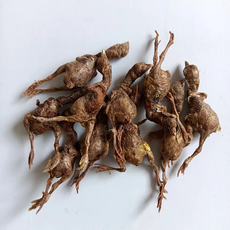 Freeze-Dried Chicks Fattening and Cheek Growth Pet Food Source