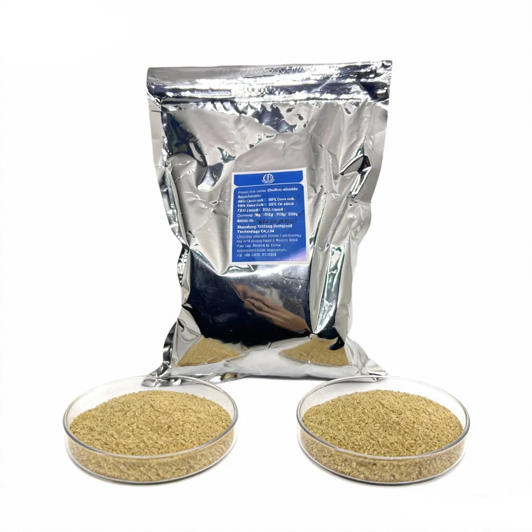 Veterinary Premium 60% Choline Chloride Powder Excellent Absorbency & Stability for Animal Nutrition