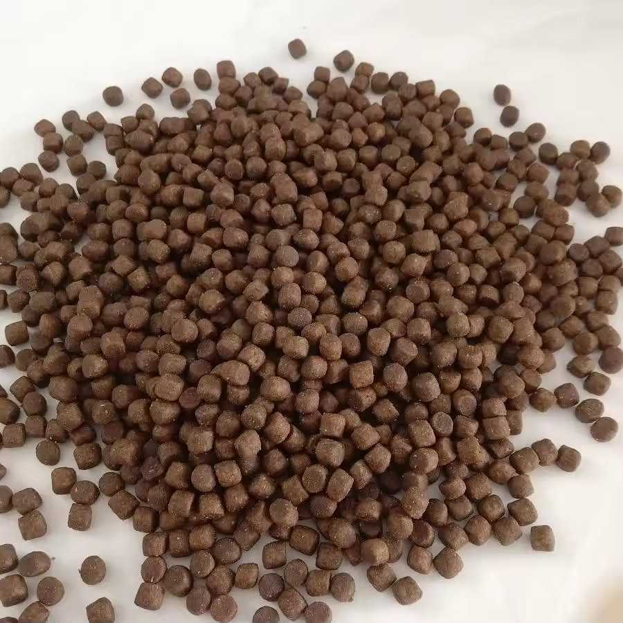 High Protein Taurine Organic Cat Food for Digestive Health Nutritious Formula Dry Cat Kibble ISO9001 Certified OEM ODM Factory