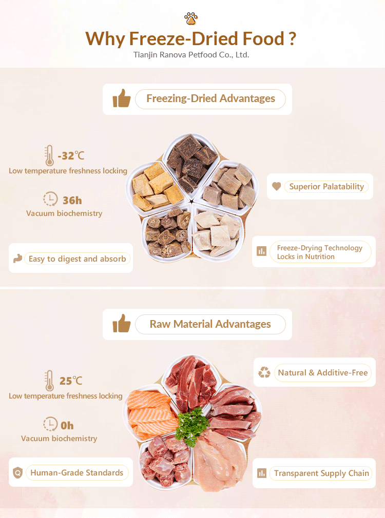 Product Showcase 1
