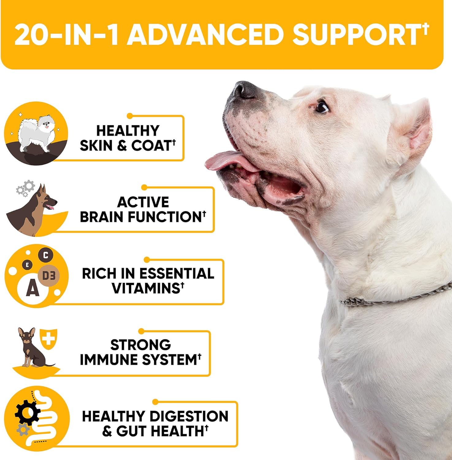 Pet Multivitamins Nutrition Supplements with Vitamins A-K to Improve Immune System and Support Brain&amp;Heart of Dog Soft Chews