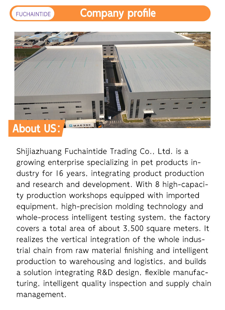 Company Profile Image