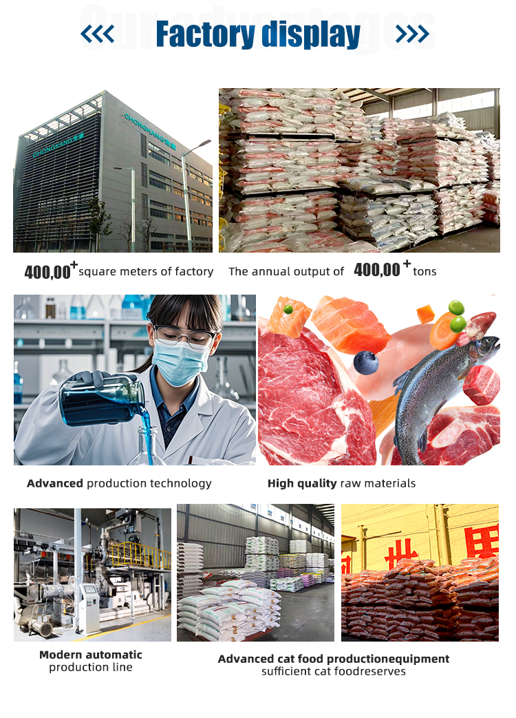 High Protein Hypoallergenic ODM Formula Pet Food for Dogs Offering Various Packaging Size