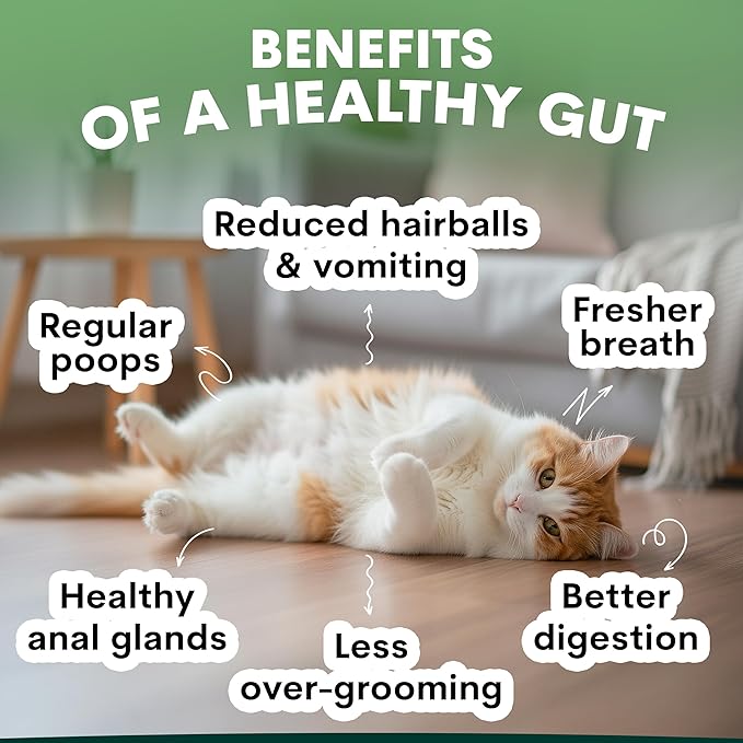 Cat Hairball Control Bladder Support Organic Soft Chews Digestive Supplement Furball Remedy Treats Mild Laxative Stomach Health