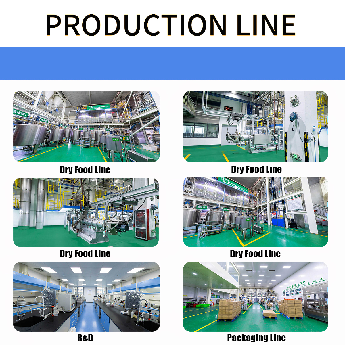 Product Showcase 3