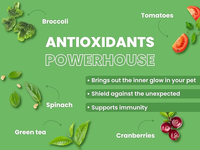 Premium Organic Veg Dog Cat Food Natural Grain Free Plant Protein Formula Energy Skin Coat Health Granules OEM ODM Factory Bulk