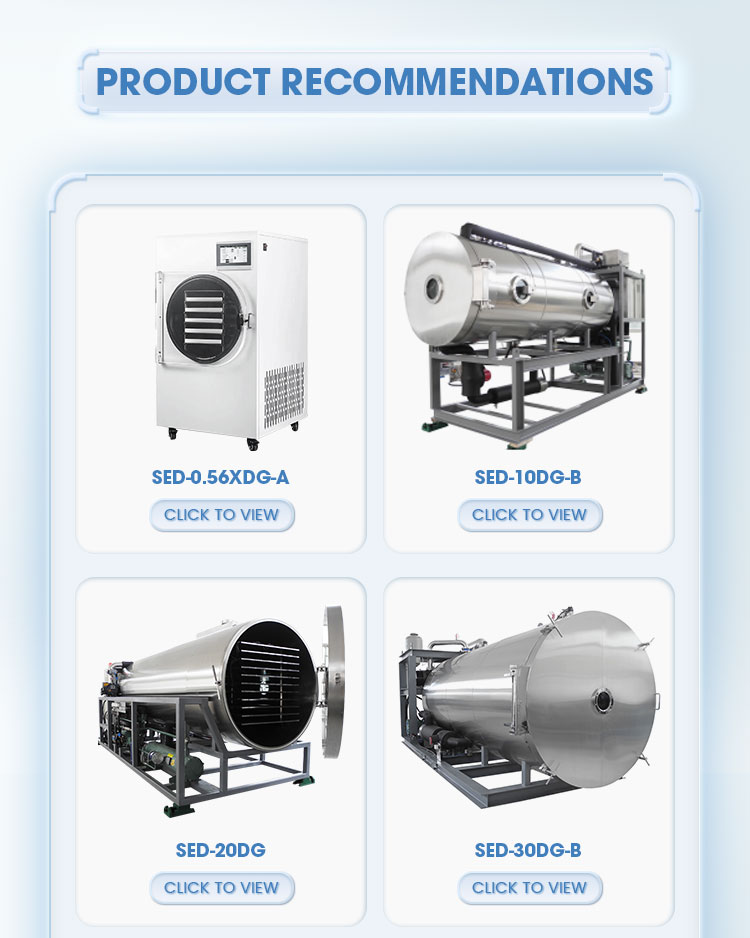 Industrial and Small Home Freeze Dryer Options