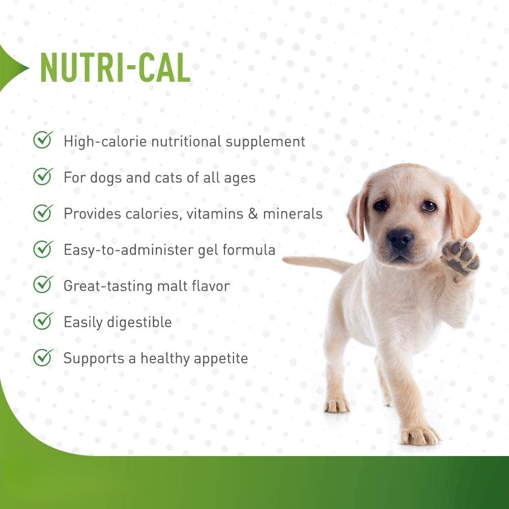 Nutritional Supplement Gel Liver Paste For Pets Supports Liver &amp; Immune System Health In Dogs Cats