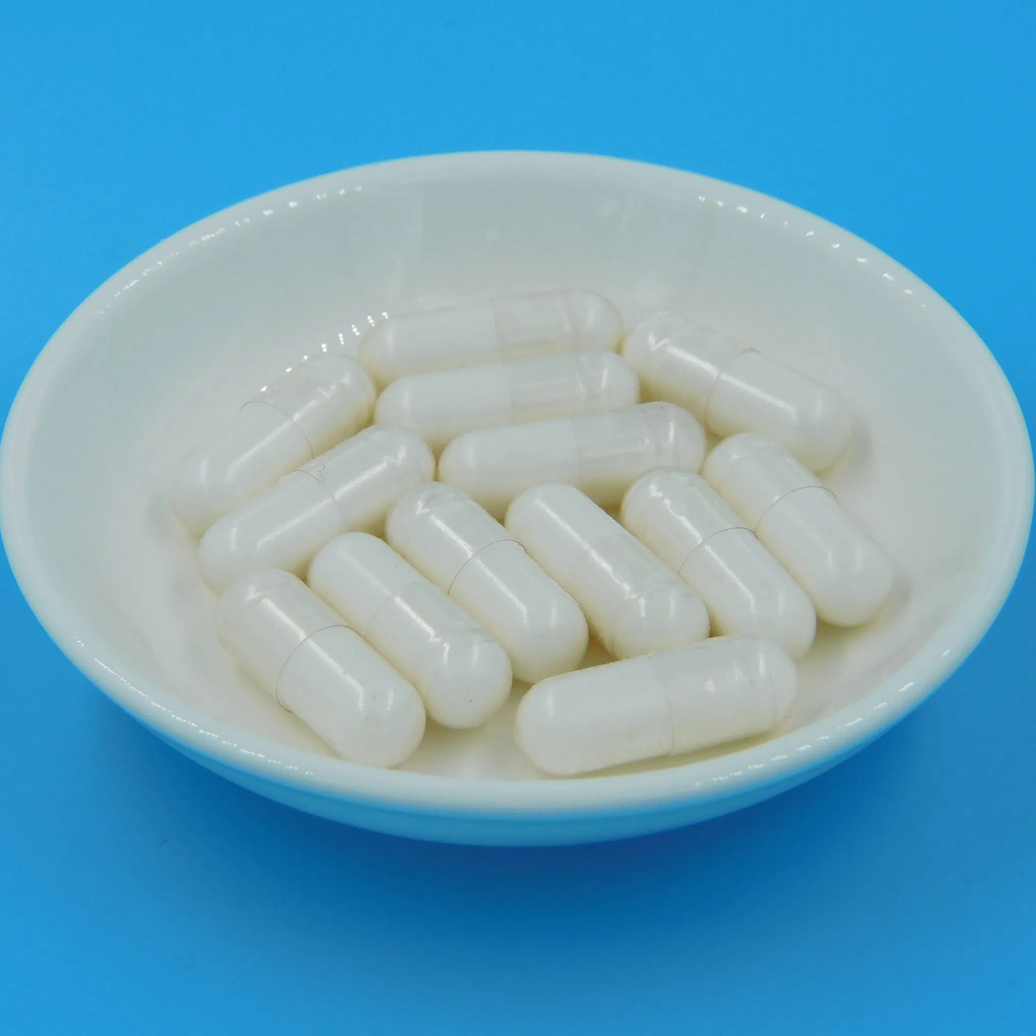 Premium Gut Health Support Formula for Optimal Digestion