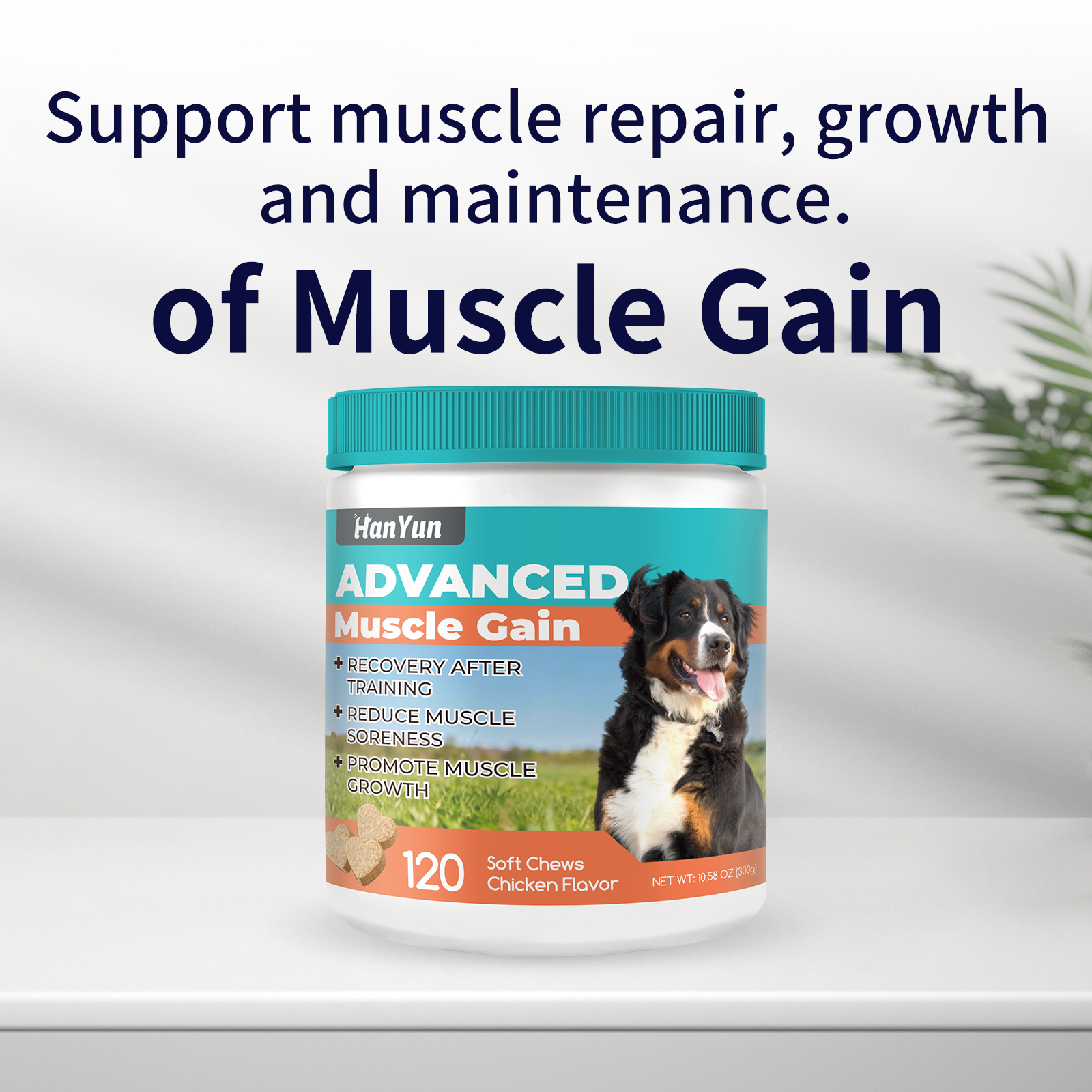 Premium High-protein Dog Muscle Supplements High Protein Dog Food Supplement Pet Ingredients Muscle Gain Dog Muscle Soft Chews