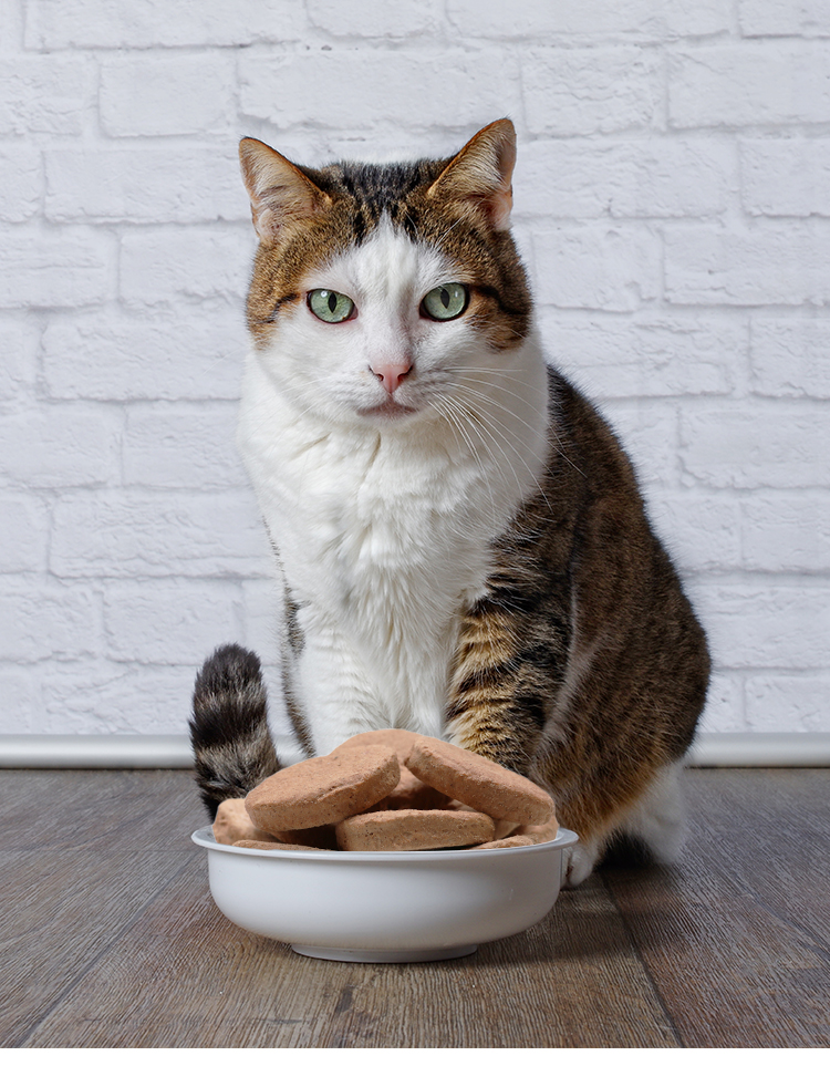 Pet snacks detail 3