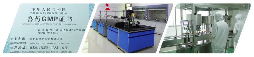 Production Process