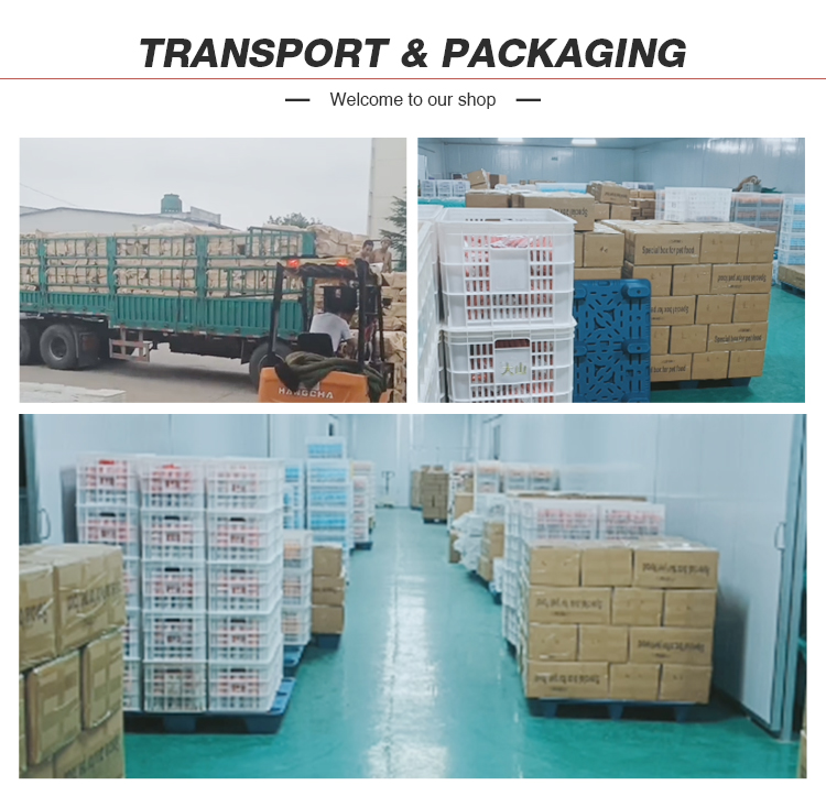 Safe Packaging and Fast Shipping