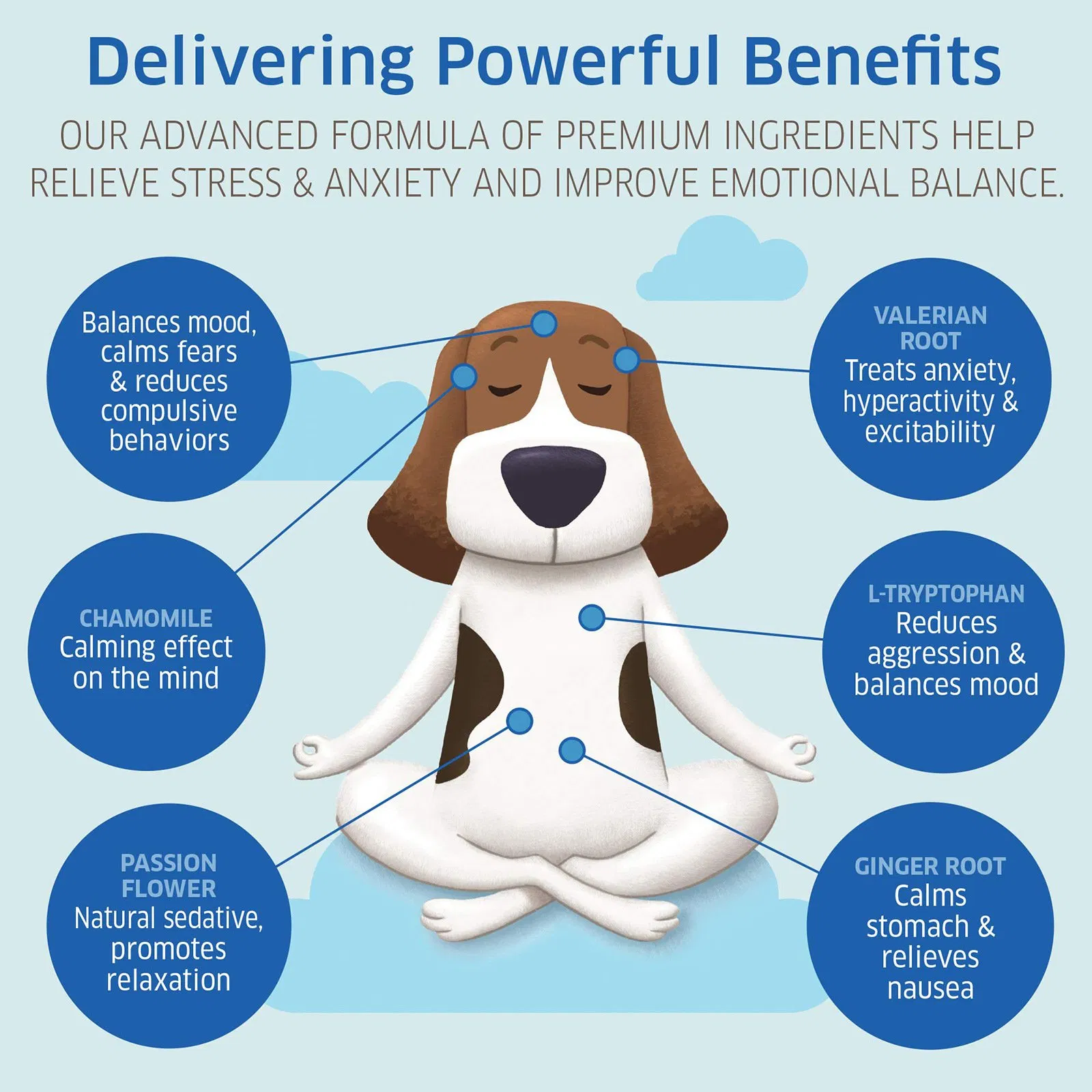 Dog Digestive Care Probiotics Daily Gut Health Support with Vital Nutrients