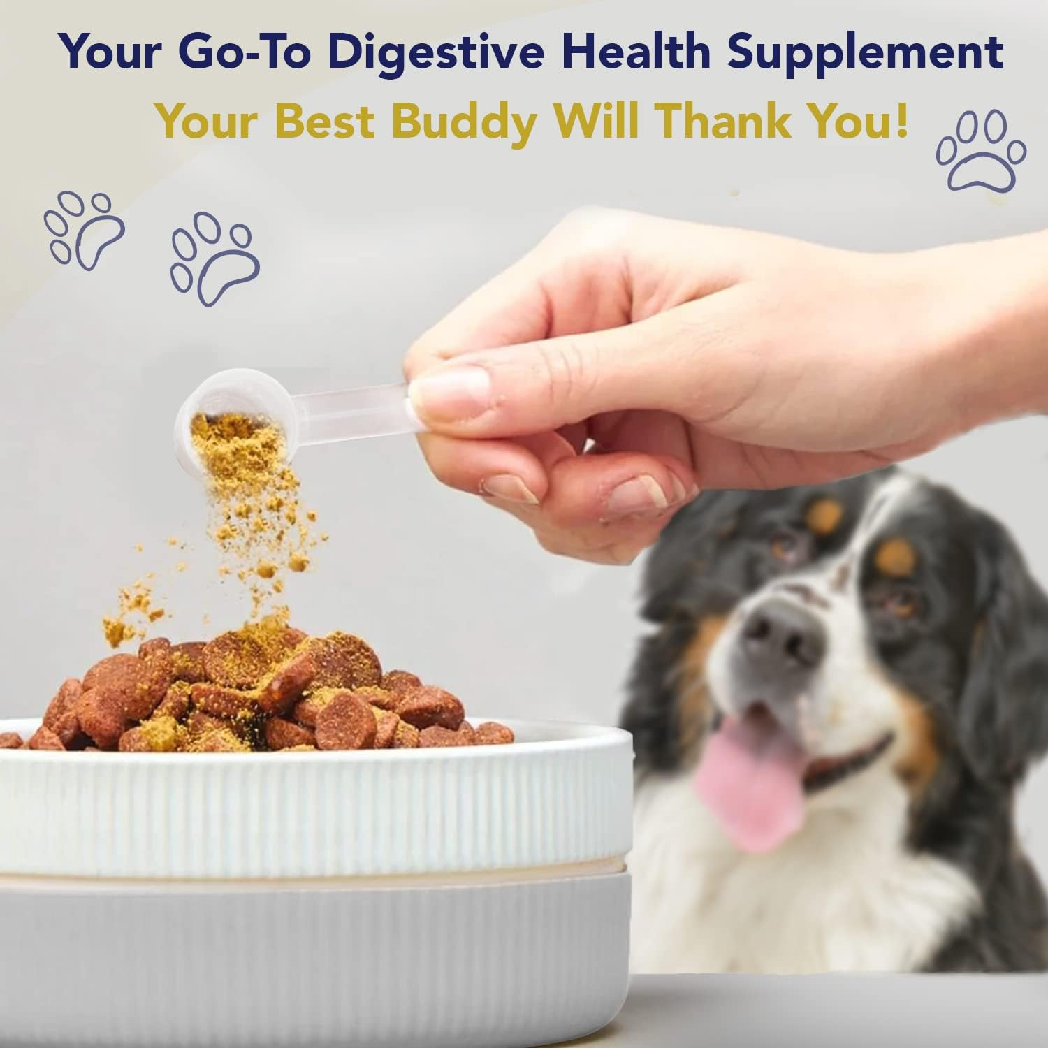 Hanyun Organic Probiotics Powder For Dogs &amp; Cats Free Sample Pet Probiotic Digestive Enzymes Supplement For Digestion Health