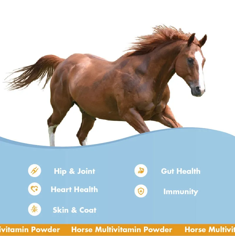 OEM/ODM Premium Biotin Formula for Equine Hoof Health Support