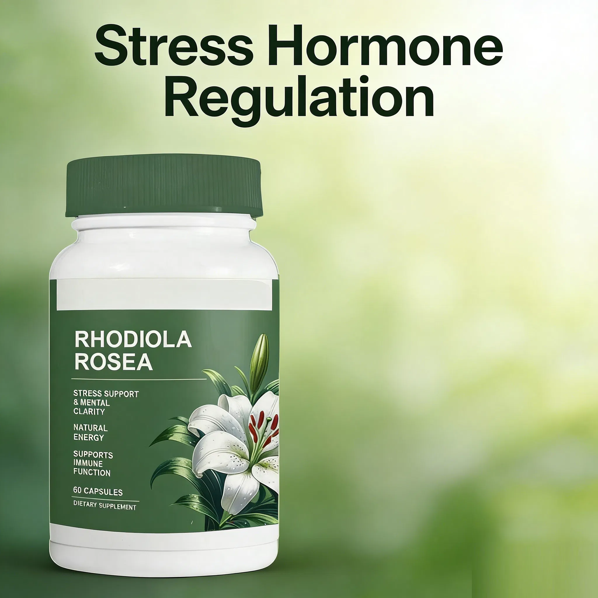 Rhodiola Health Food Supplement - OEM Formula for Enhanced Brain Performance