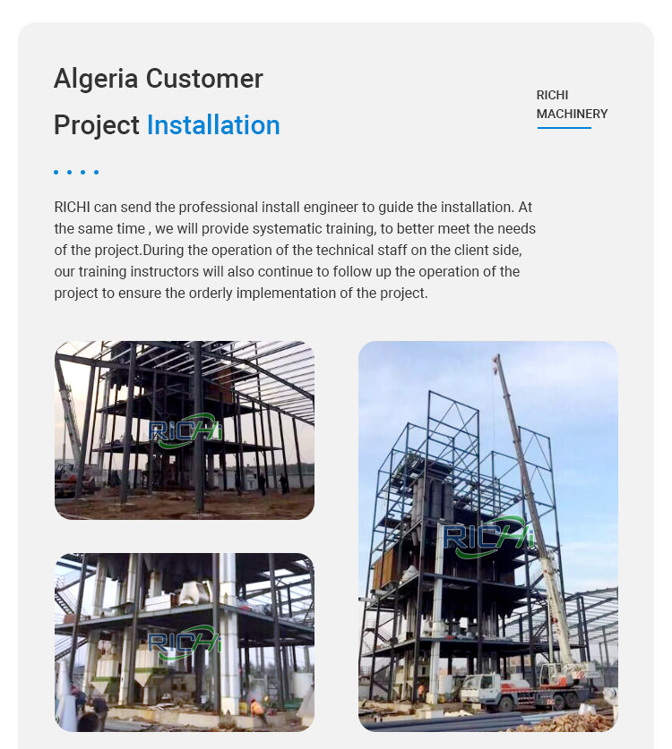 Customized 20-30T/H Complete Poultry Animal Cattle Chicken Feed Factory for Algeria Customer