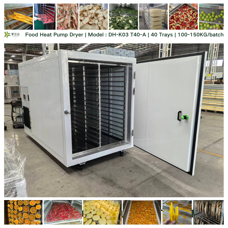 DH-K03 T40-A | 40 Trays | Heat Pump Dehydrator | 100-150KG Food Dryer Machine for Fruits, Pet Food, Fish, Meat | Drying Cabinet