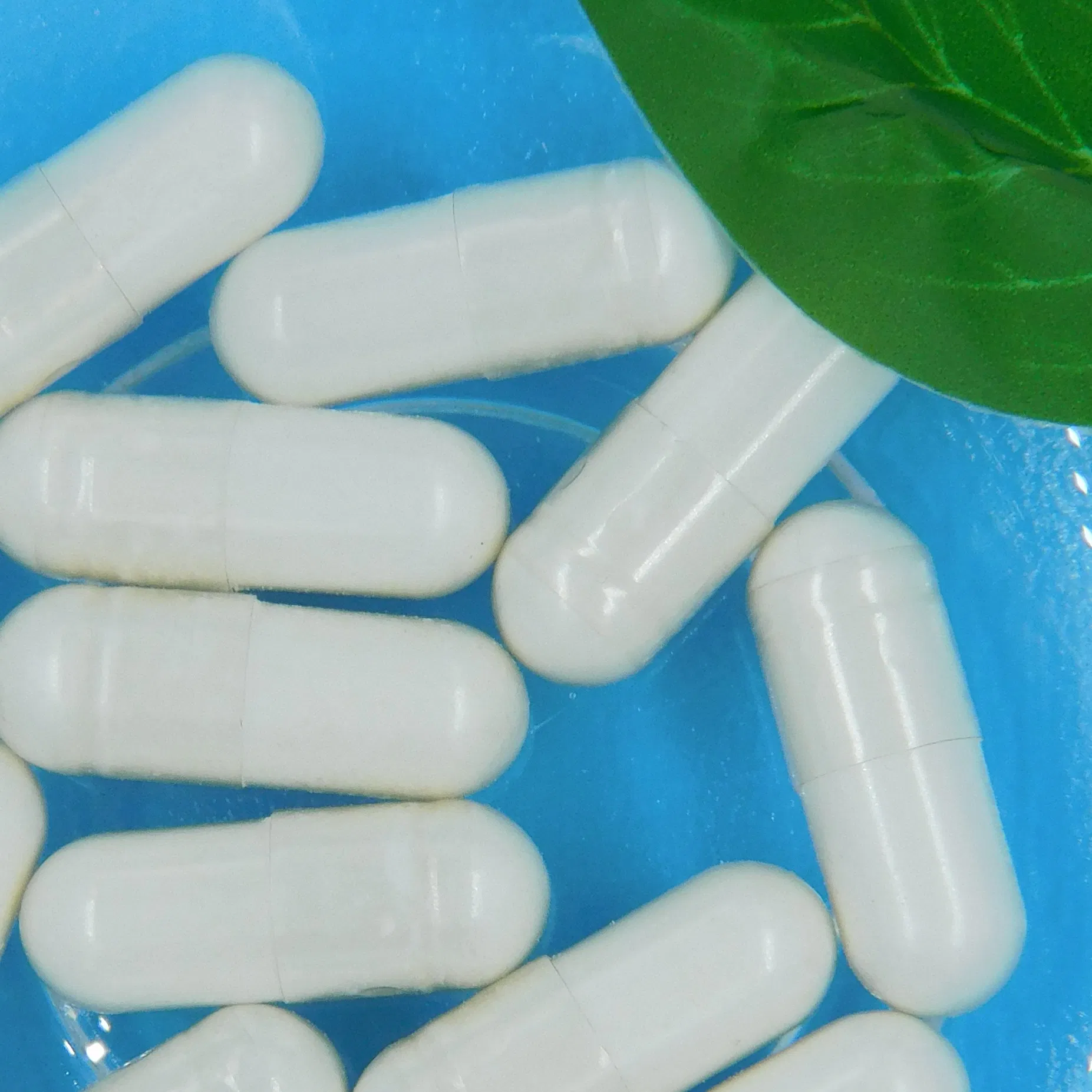Ultimate Digestive and Immune Health Support Formula for Wellness