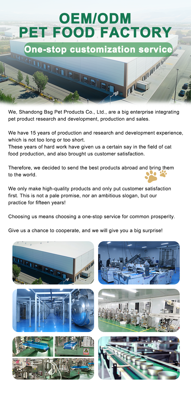 Company Overview 1