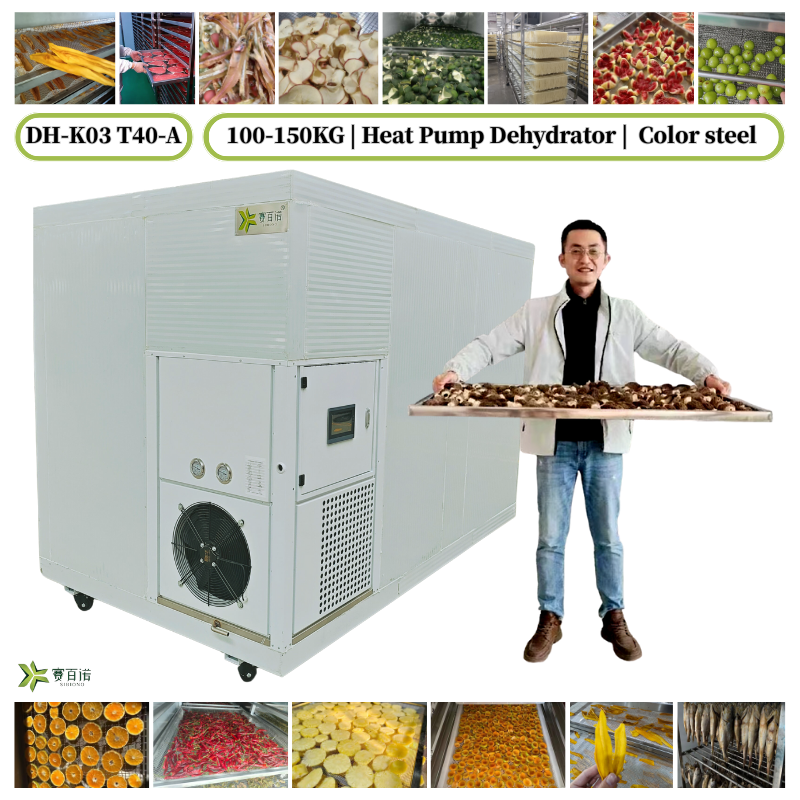 DH-K03 T40-A | 40 Trays | Heat Pump Dehydrator | 100-150KG Food Dryer Machine for Fruits, Pet Food, Fish, Meat | Drying Cabinet