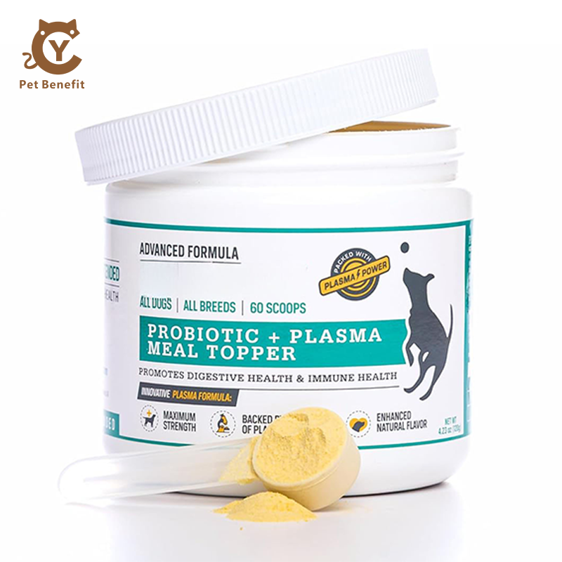 Daily Intestinal Care Drops For Dogs Cats Natural Gut Flora Formula Pumpkin Eases Indigestion Fast Absorption Maintains Healthy