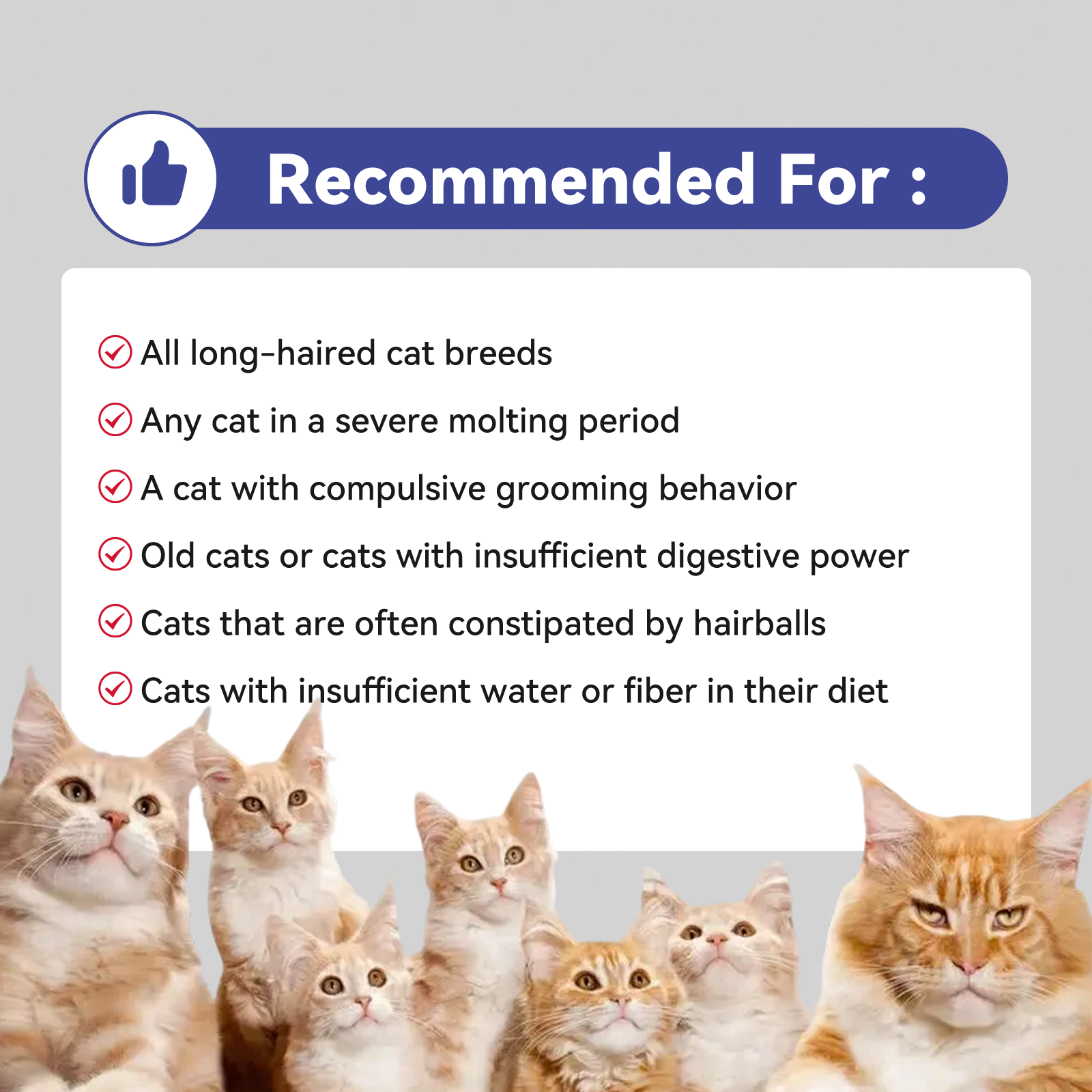 Pet Hairball Support Crunchy Creamy Chews Supplement Natural Chicken Flavor Hairball Treats For Cats Skin Coat Health