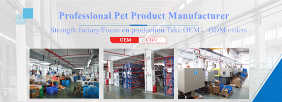 Company Facility