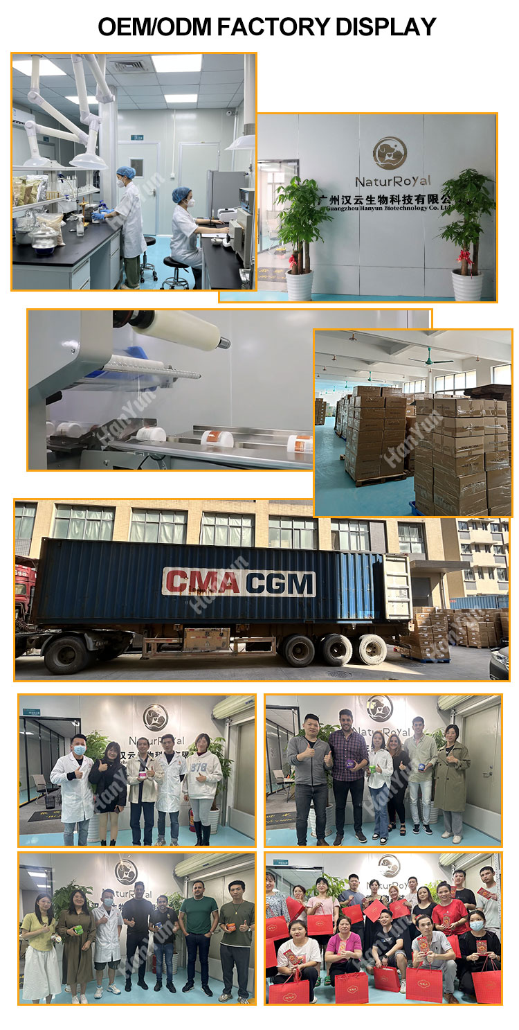 Factory Facility 1