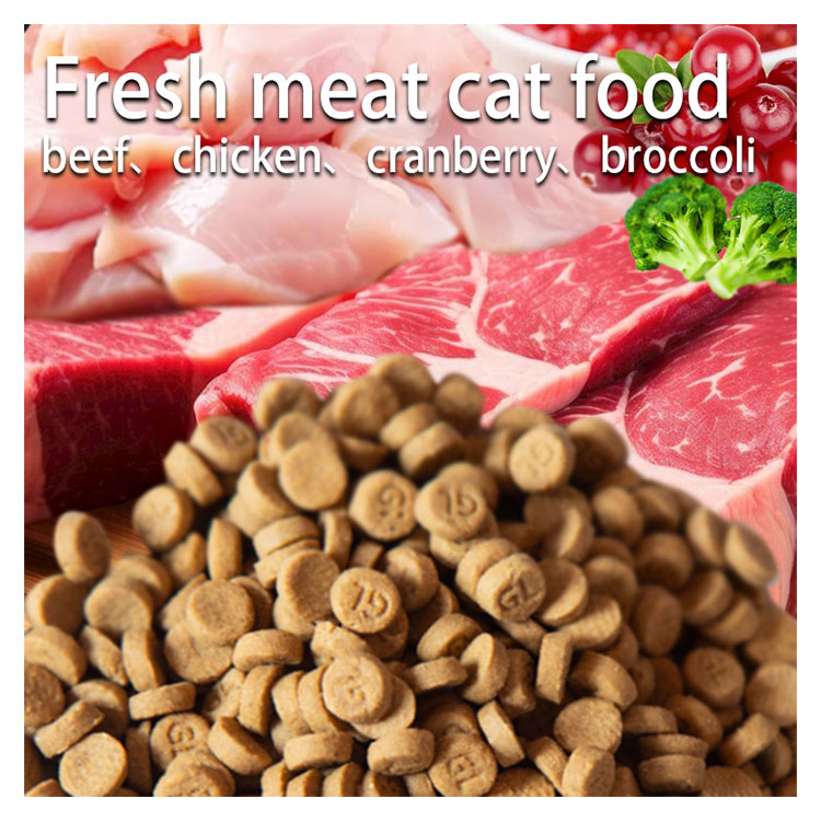 OEM Grain-Free Cat Food, Salmon Nutritious Dry Food for Healthy Digestion, Full Product Range