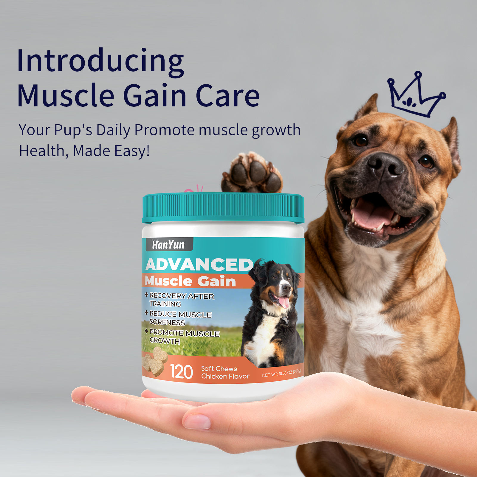 Premium High-protein Dog Muscle Supplements High Protein Dog Food Supplement Pet Ingredients Muscle Gain Dog Muscle Soft Chews