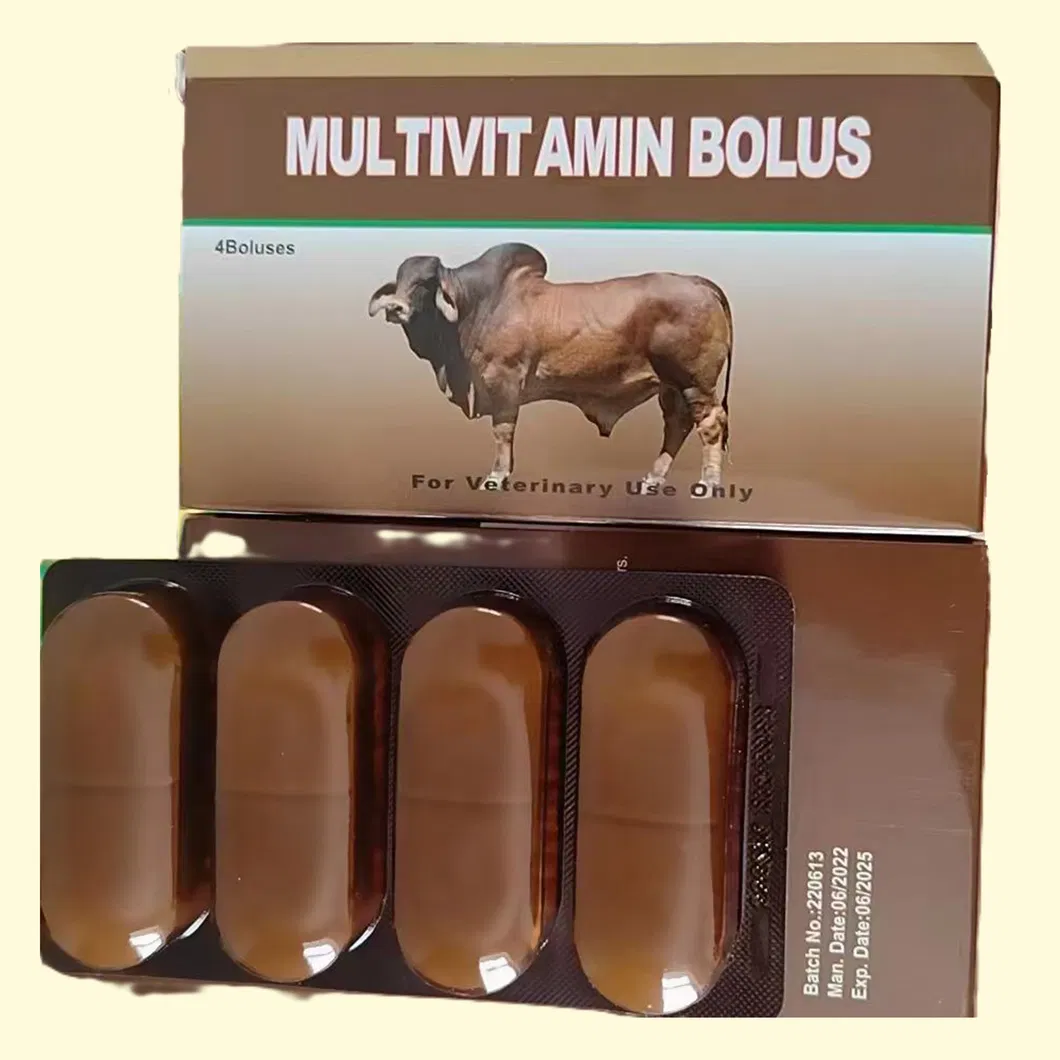 Add Nutrition Multivitamin Injection for Livestock Poultry Veterinary Use GMP Vitamin