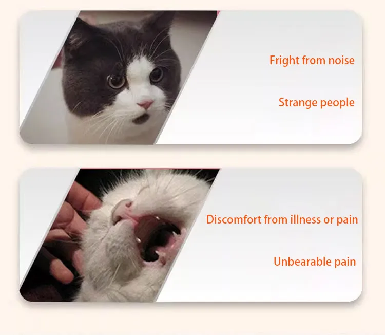Cat Emotion Stress Relief Health Nutrition Veterinary Drug Pet Medicine Pet Supplement