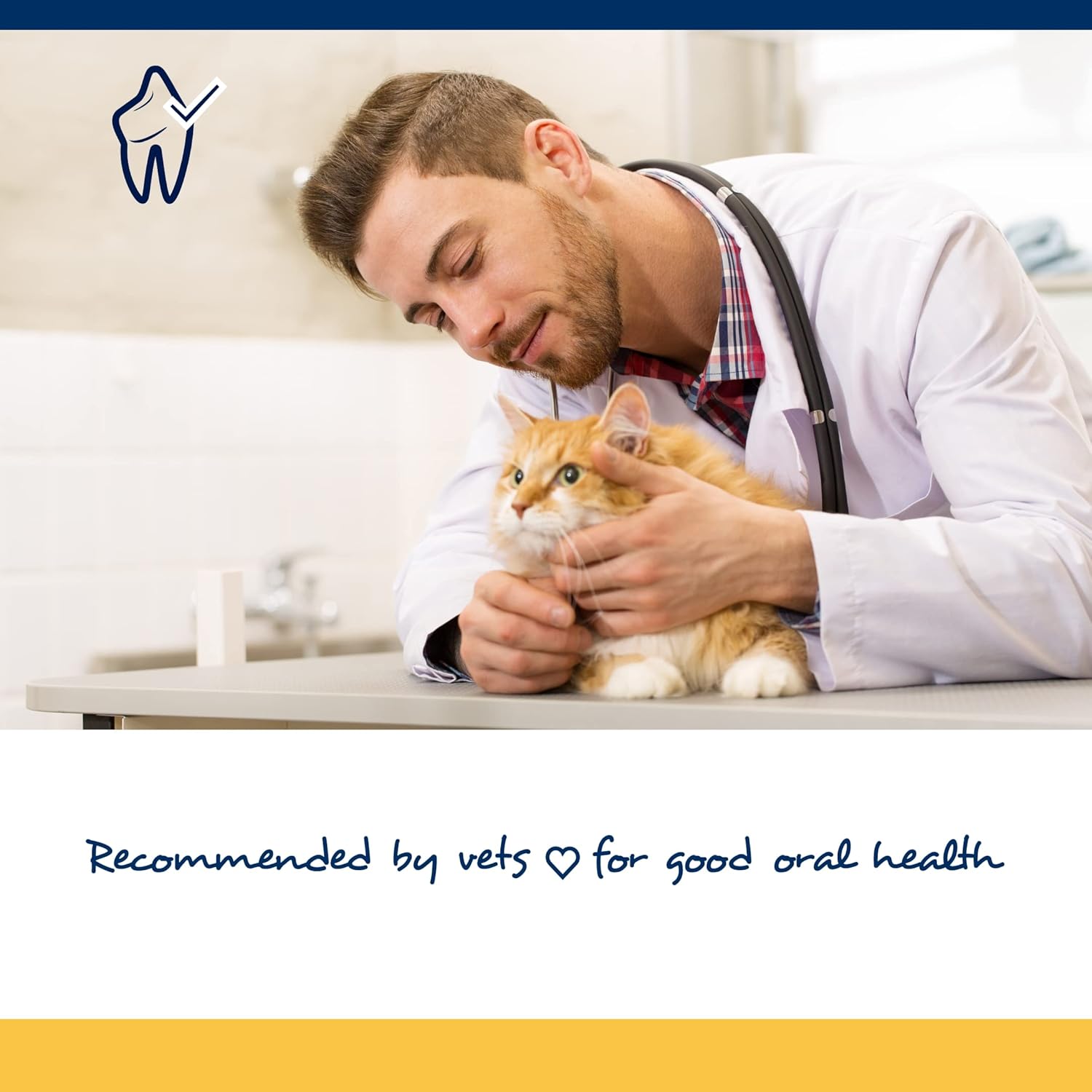 OEM/ODM Delicious Cat Soft Chews Pet Dental Health Treats with Fucoidan and Parsley Powder for Oral Cleaning