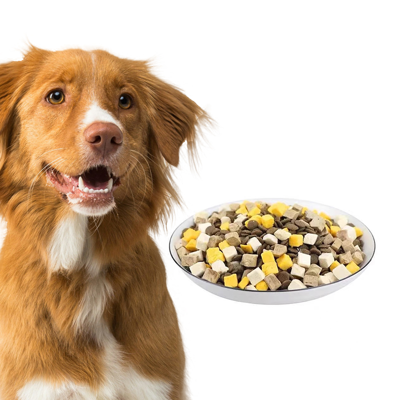 OEM Best Quality Custom Packaging High Protein Low Fat Pet Food Dry Kibble Full Nutritional Dog Dry Food with FD
