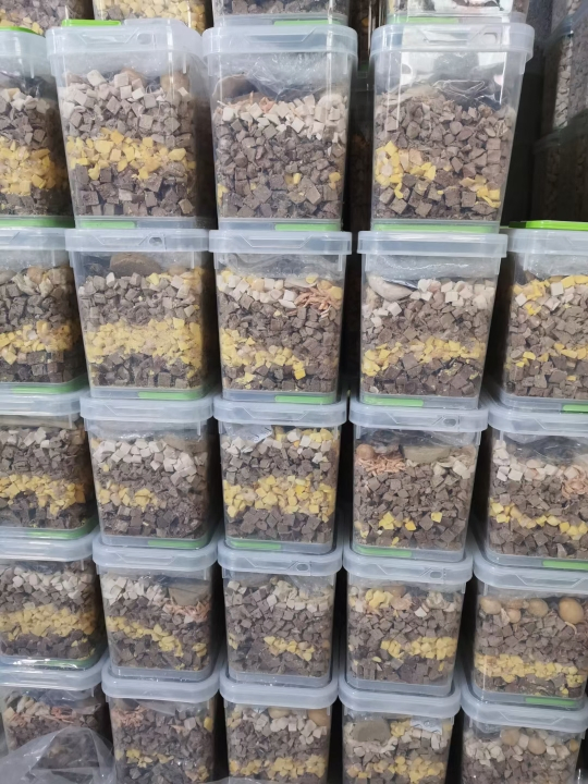 Gourmet Freeze-Dried Chicken Cat Food for Healthy Adults