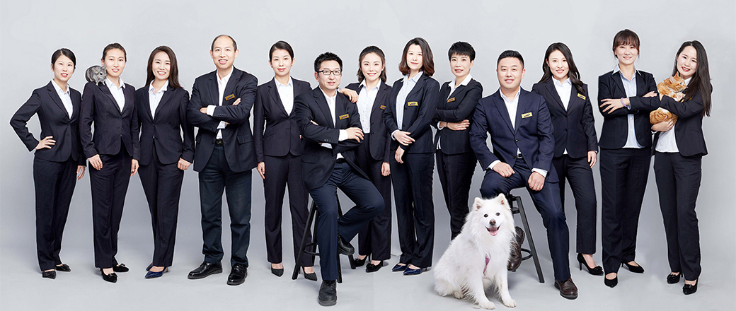 Sales Team Members