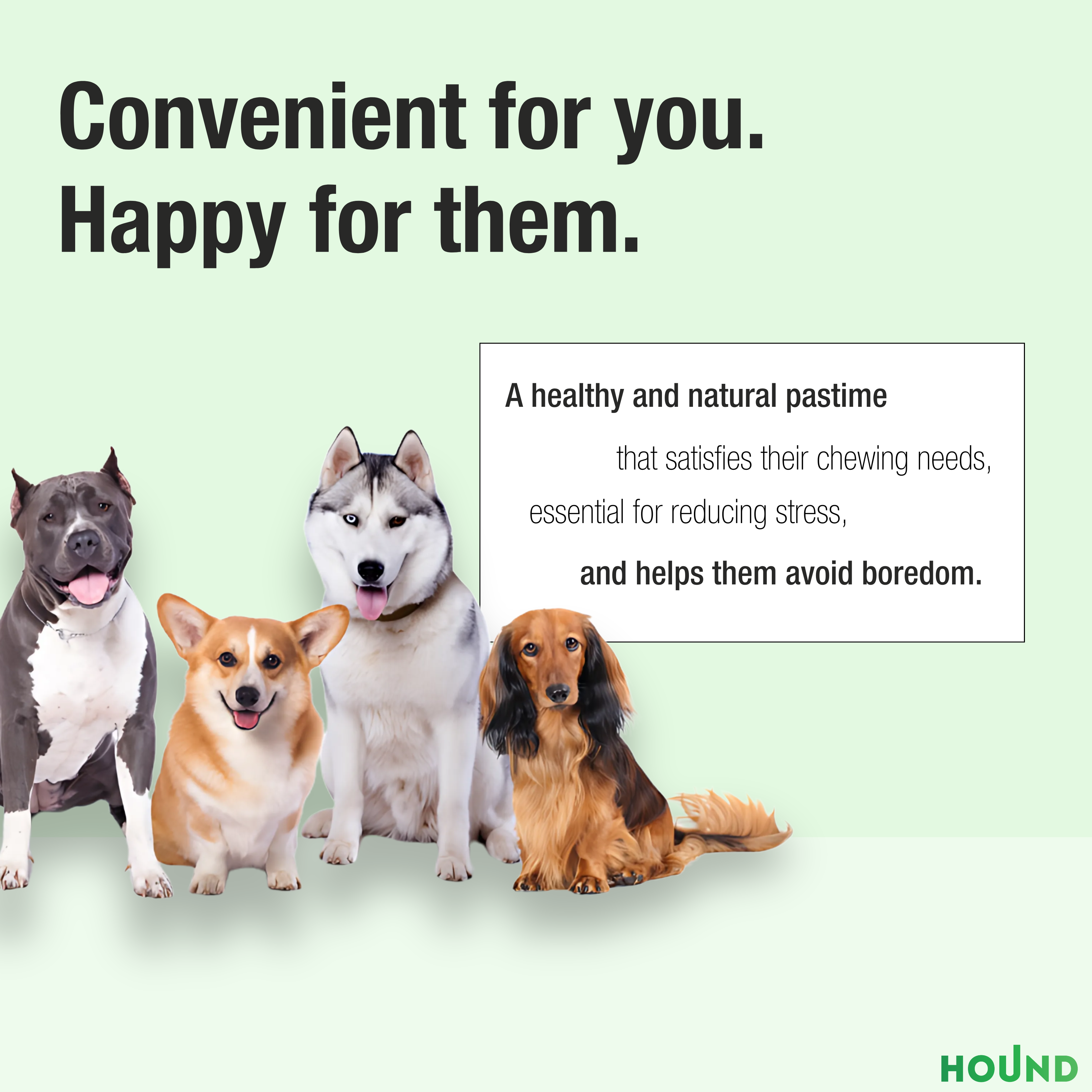 Made In Italy Natural Heather Root Dog Chew - Size M Safe And Healthy Dog Chew Petfood For Stress Relief